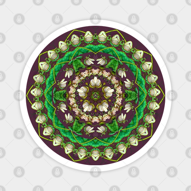 Mantis Mandala Magnet by ThisIsNotAnImageOfLoss